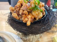 -丁老爷子苏香圆