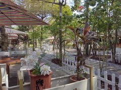 -陶缘一号·四季缘·老字号顺德菜·户外婚礼家宴(西滘店)