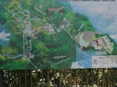 -呀诺达热带雨林