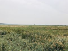 -白洋淀景区