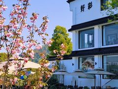 -树山生态村