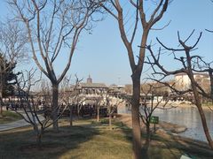 -西海子公园