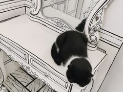 -白夜2D咖啡馆