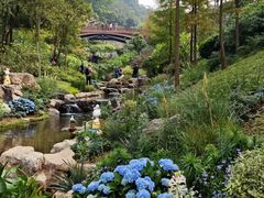 -云溪植物园