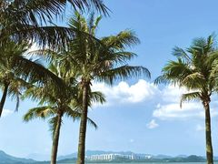 -宝安西湾红树林湿地公园