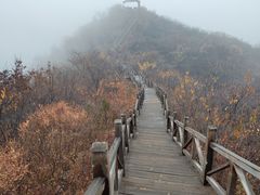 -大岭沟猕猴桃谷风景区