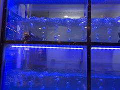 -云中鱼蒸汽石锅鱼(川沙百联店)