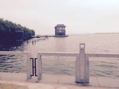 picture-同里湖度假村(二期店)