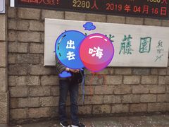 -嘉定紫藤园