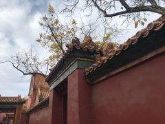 -故宫博物院(故宫)