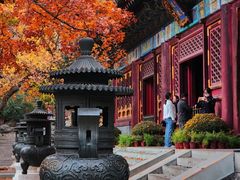 -香山公园