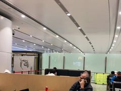 -麦当劳(北京大兴机场二层国内到达(安检外)店)