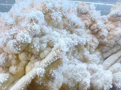 -湖南省地质博物馆