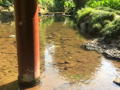 -重庆彩云湖湿地公园
