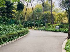 -晓港公园