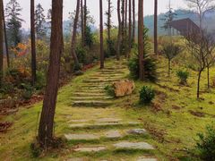 -黄陂区野村谷景区