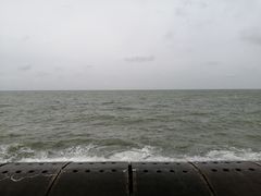 -东疆建设开发纪念公园