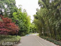 -苏州河梦清园环保主题公园