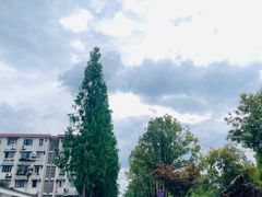 -成飞公园