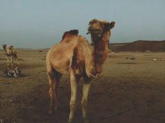 -科罗拉多大峡谷