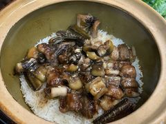 金牌黄鳝饭-红星光发煲仔饭(文海店)