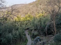 -镇江市南山风景名胜区竹林景区