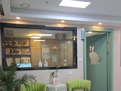 -半岛宠物医院24小时·内窥镜·牙科·碎石中心(府城大道店)