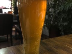 -百好乐宠物友好餐厅(朝外大街店)