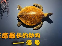 -左海海底世界