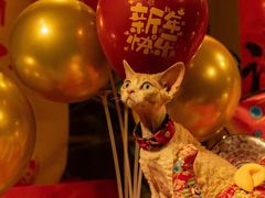 -小意思咖啡店(草桥店)