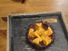 -海胆小馆(东北水饺·春柳店)