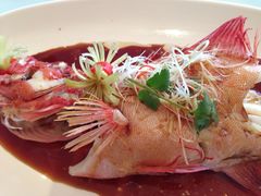 -新富汇西郊公馆(怡甸别墅店)