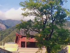 -罗田天堂寨风景区