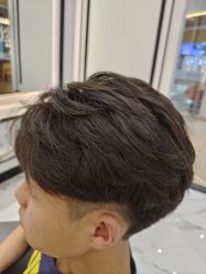 -YESIDO椰岛造型