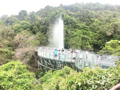 -海南槟榔谷黎苗文化旅游区