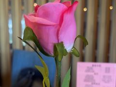 -粤菜王府·海鲜·茶市·海景餐厅(大梅沙店)