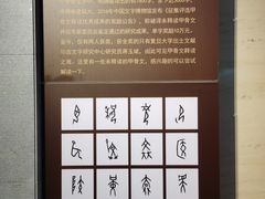 -安阳博物馆