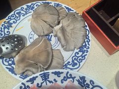 -东镇老火锅(长春路首店)