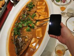 开河鲤鱼-九十九顶毡房(阜石路店)