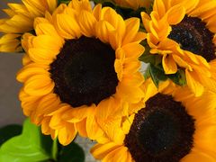 -循礼门鲜花花市(武汉循礼门店)