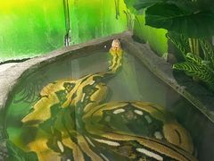 -贵州森林野生动物园