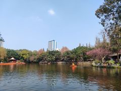 -易老妈蹄花.特色川菜(人民公园总店)