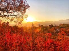 -塔川景区