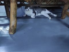 -蓝天射箭馆·专业射箭运动(诚丰广场店)