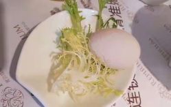 -爱贝蕊恩韩式月子会所(宝安店)