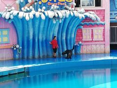 -华夏文旅海洋公园