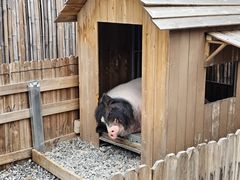 -小时光咖啡馆(开森度假森林店)