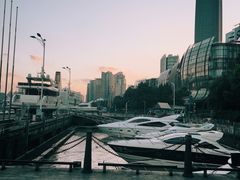 -北外滩百艇汇游艇俱乐部