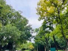 -南长河公园