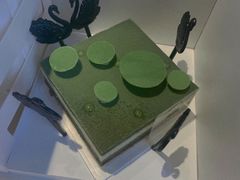 -BLACKSWAN黑天鹅(环球店)